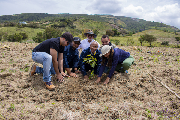 UTEPDA entrega 2,500 plantas de aguacate e insumos en San Juan